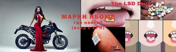 кокс Алексин