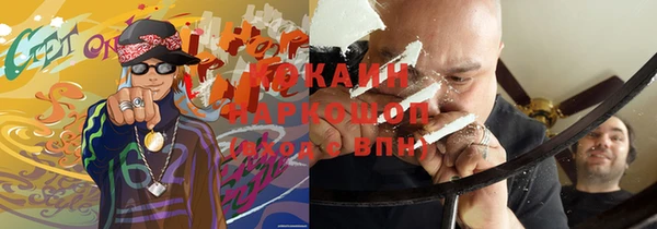 кокс Алексин