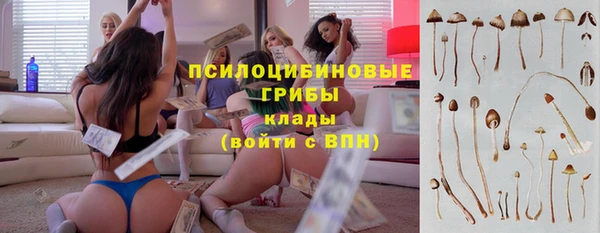дживик Алзамай
