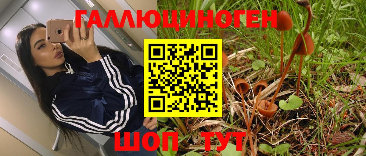 Йошкар-Ола  Псилоцибиновые грибы Magic Shrooms  Псилоцибиновые грибы MAGIC MUSHROOMS  Вход с VPN 