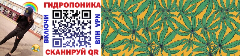 Канабис Bruce Banner  Йошкар-Ола 
