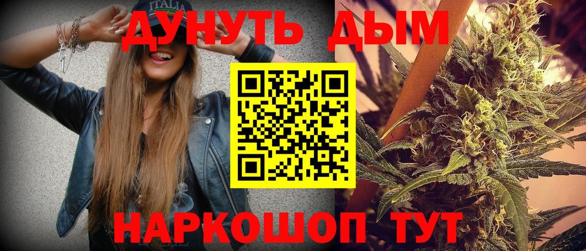 Шишки марихуана планчик  Вход с VPN  Йошкар-Ола  Шишки марихуана сатива  Бошки Шишки сатива  Канабис Bruce Banner 